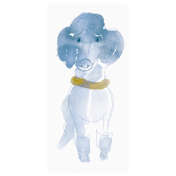 Meet your Posher, Daphne - Picture 1 of 1